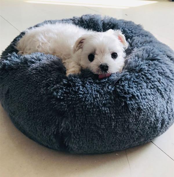 Cama Nuvem Ultracomfort para Cães e gatos