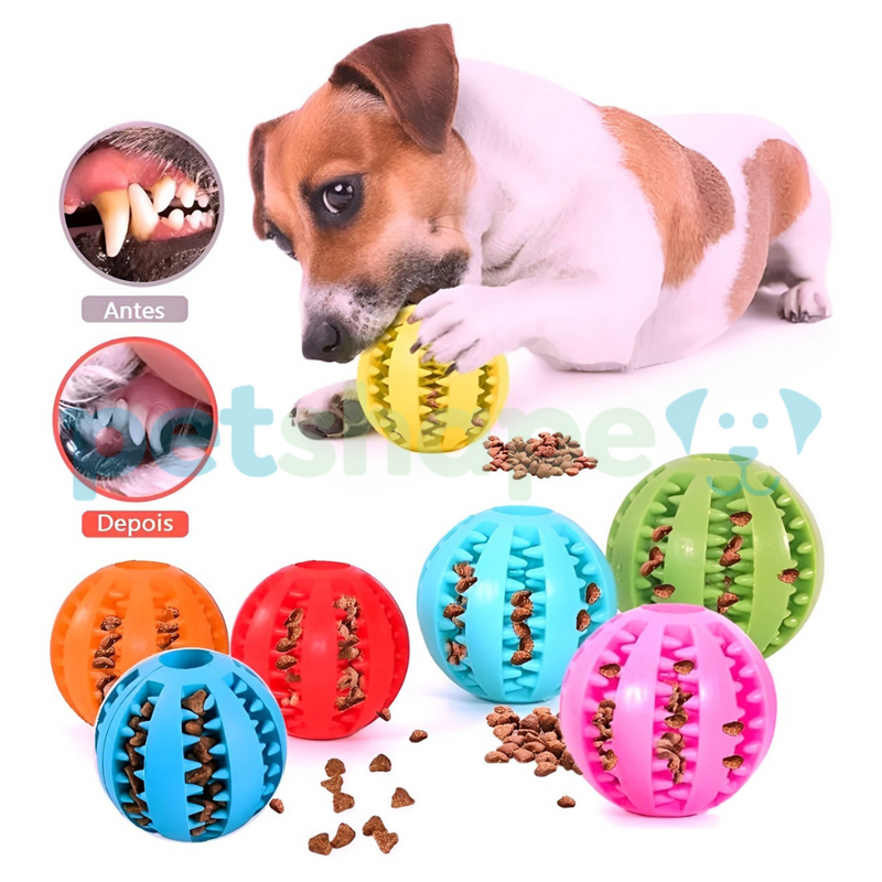 COMPRE 1 LEVE 2 Bola Multifuncional para cães e gatos