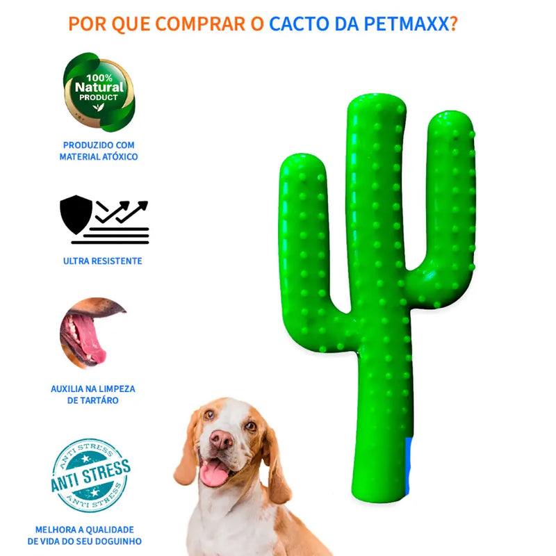 Brinquedo Para Cachorro Mordedor Super Resistente Cacto Texas Médio Petmaxx