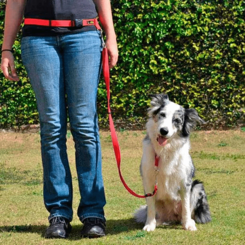 Coleira E Guia Para Cachorro Mãos Livres Passeio Corrida Resistente Silicone