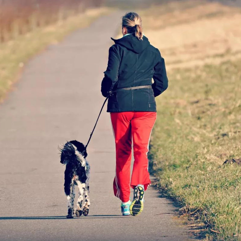 Coleira E Guia Para Cachorro Mãos Livres Passeio Corrida Resistente Silicone